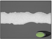 untreated Al alloy